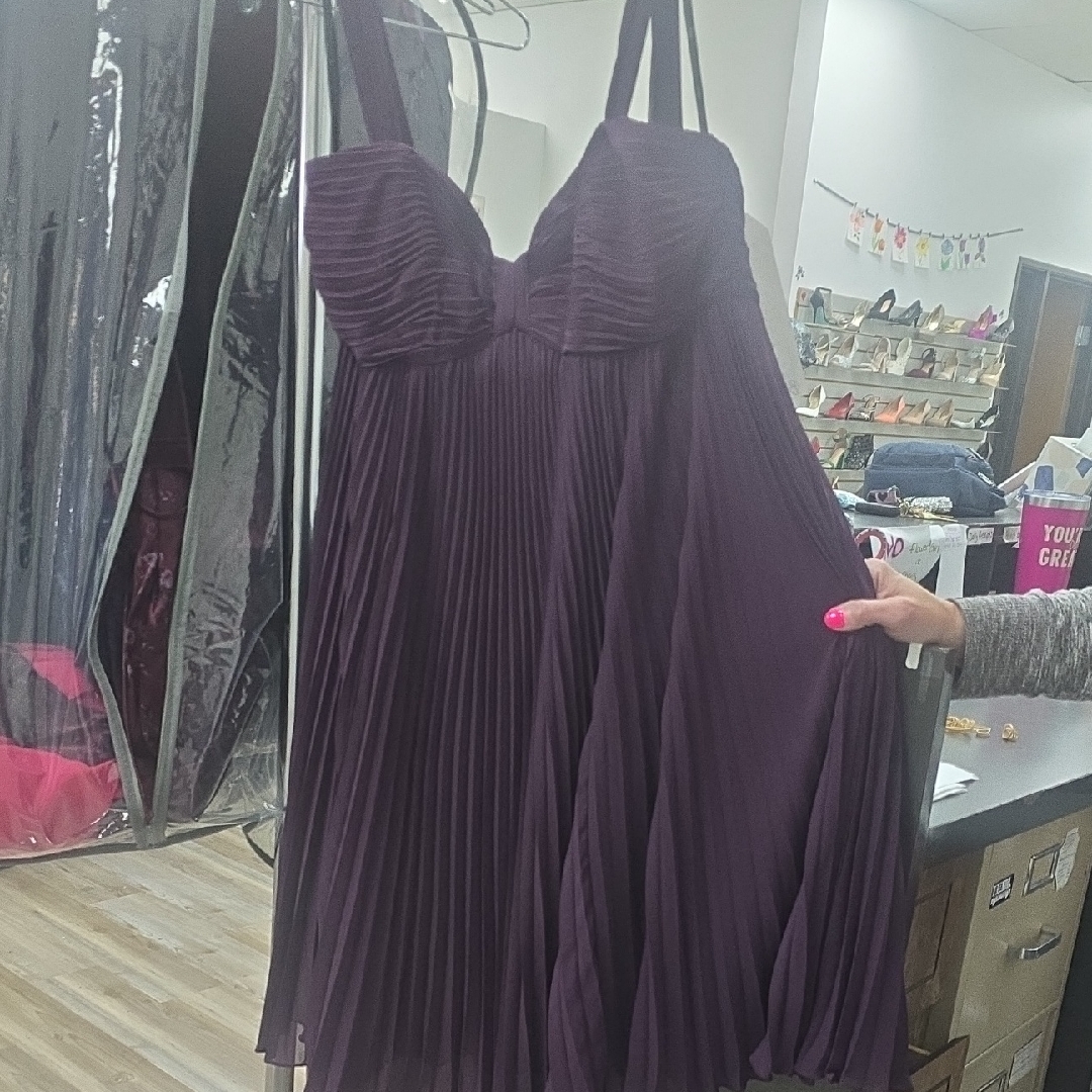 Elegant Plum Pleated Dress